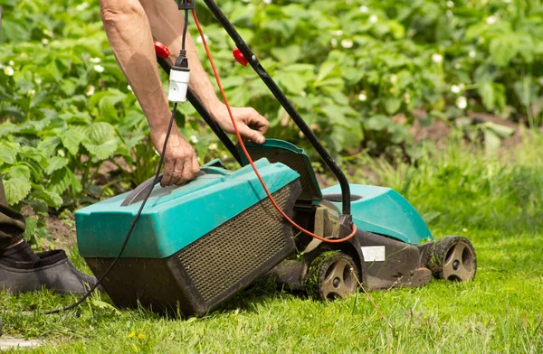 Men Hands Taken Electric Lawnmower Grass Receiver Mowed Grass Garden Stock Image