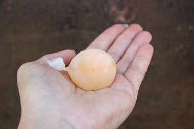 Kadın elinin üzerinde, film çantasında kabuğu olmayan bir tavuk yumurtası var. Tavuk hastalığından, mineral eksikliğinden ya da vitamin eksikliğinden olabilir..