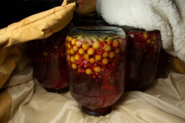 Large jars with gooseberry and currant compote stand upside down in a warm jacket. Roll the compote and share a fur coat. clipart