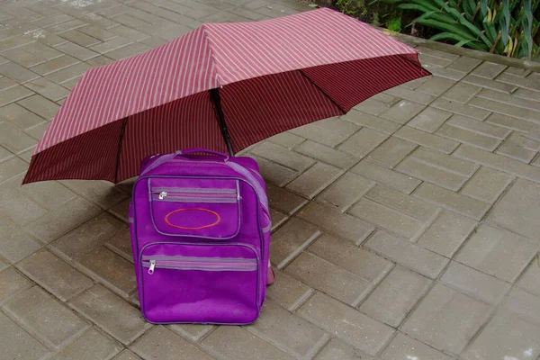 Childrens purple school backpack or briefcase stands on tiles under a crimson umbrella.