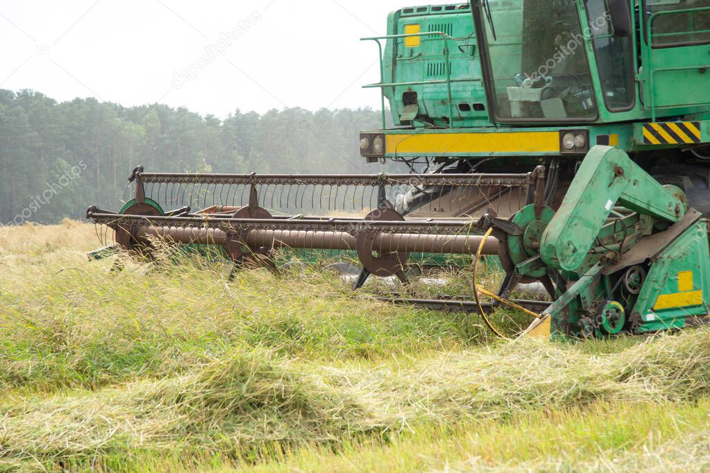 Green grain harvester removes wheat on the field. The harvester's reaper is close-up. Cleaning cereals from fields.