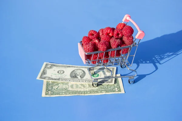 Shop trolley full of ripe red raspberries. Under the wheels of the trolley on a blue background are dollar notes.