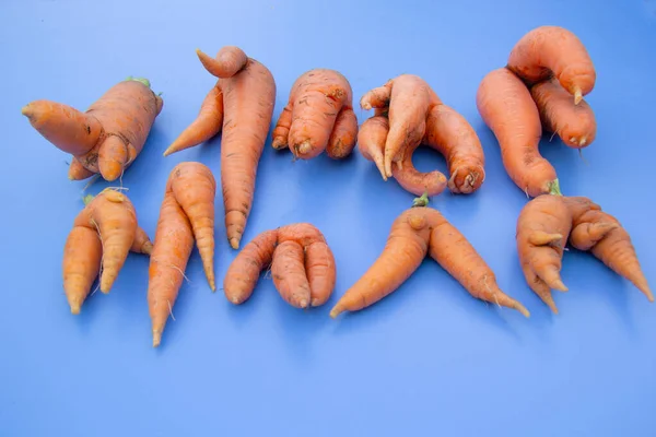Una gran cantidad de zanahorias frescas de forma inusitada inusual se encuentra en un fondo azul. Hortalizas inusuales — Foto de Stock