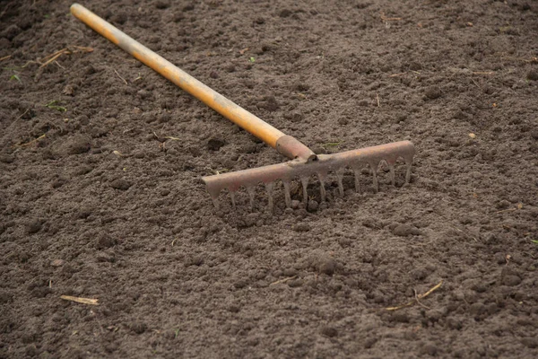 Gamla Rostiga Krattor Med Trägult Handtag Ligger Marken — Stockfoto