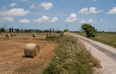 Çiftlik hayvanlarını beslemek için saman kullanıldı. Baix Llobregat Agrarian Park Barcelona, Katalonya.