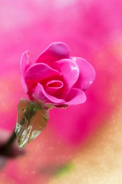 Plastik kaşıklardan yapılmış el yapımı bir gül. Geri dönüştürülmüş malzemeyle el sanatları.