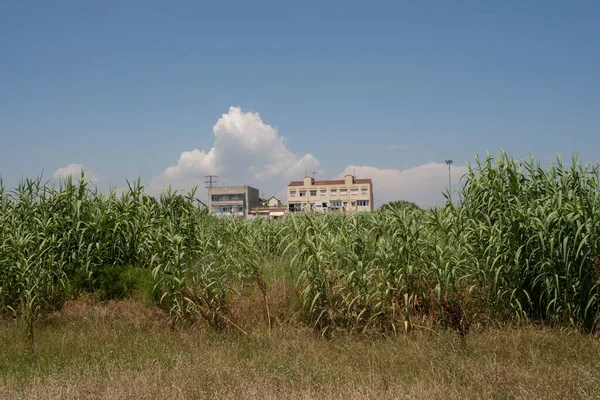 Sant Boi Llobregat Comune Della Provincia Barcellona Catalogna — Foto Stock