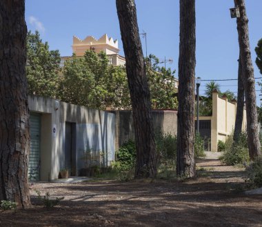Barselona, Katalonya 'da Santa Coloma de Cervell kasabasında çam ağaçlarıyla çevrili bir cadde..