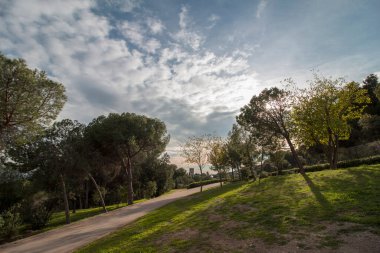 Katalonya 'nın Barcelona şehrinin Sarri-Sant Gervasi ilçesindeki Collserola' daki L 'Oreneta Parkı..