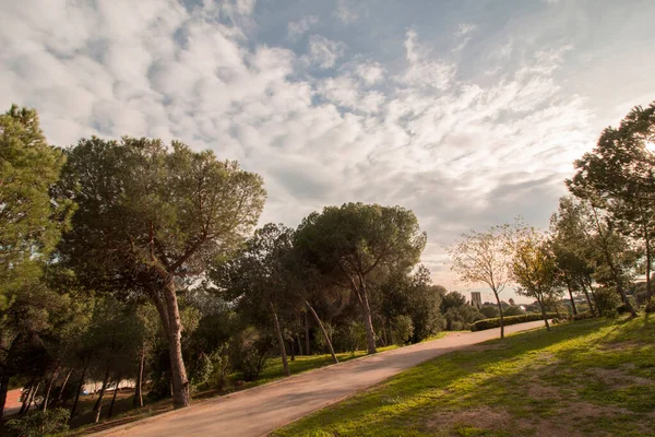 Oreneta Park Collserola Okrese Sarri Sant Gervasi Barceloně Katalánsko — Stock fotografie