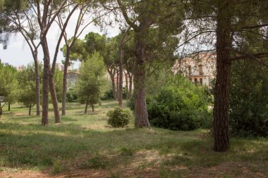Santa Coloma de Cervello, Barcelona, Katalonya, İspanya 'da La Colonia Guell bahçeleri. Haziran 2020.