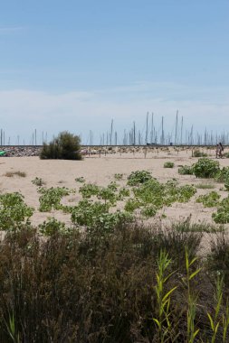 Barcelona 'nın güneybatısında bulunan Sitges plajı, Katalonya, İspanya' daki Garraf Doğal Parkı ile çevrilidir. Temmuz 2020.