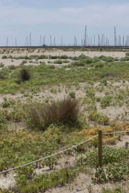 Barcelona 'nın güneybatısında bulunan Sitges plajı, Katalonya, İspanya' daki Garraf Doğal Parkı ile çevrilidir. Temmuz 2020.