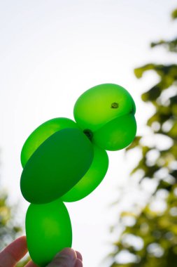 Papağan şeklinde balon. Çocuk oyuncağı. Bir doğum günü partisi için dekoratif nesne.