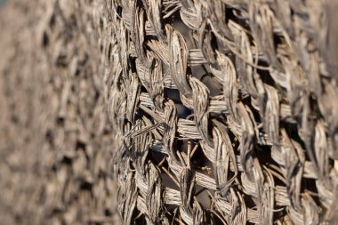 Örülmüş saman dokusu. Yazın güneşten korunacak şempanzeler.