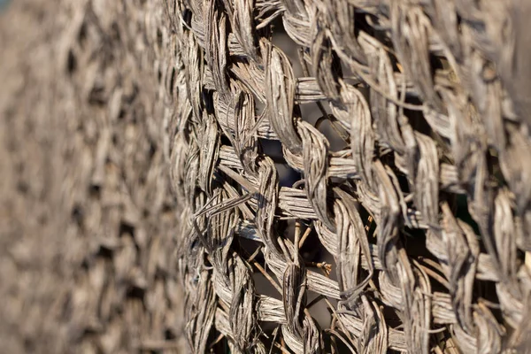 Örülmüş saman dokusu. Yazın güneşten korunacak şempanzeler.