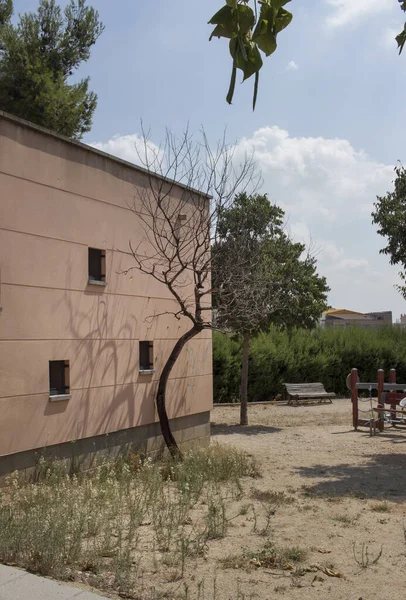 スペインのカタルーニャ州バルセロナのBaix Llobregat地域にあるEsparregueraの町の公園 2020年8月 — ストック写真