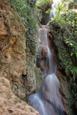 La Rovira 'nın kaynağı. Palleja kasabasındaki doğal şelale, Baix Llobregat, Katalonya, İspanya.
