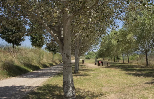 Picnic area in a rest area of the Llobregat river promenade as it passes through the town of Cornella de Llobregat, Baix Llobregat, Barcelona, Catalonia, Spain.