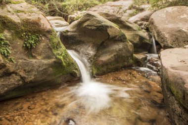 La Mola, Corbera de Llobregat ormanlarının doğal ortamında su kaynağı, Baix llobregat, Barcelona, Katalonya, İspanya.