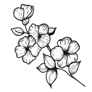 Çiçekli ve yapraklı vektör grafik dal. Botanik illüstrasyon. Siyah çiçek beyaz arka planda izole edilmiş. Çiçek silueti.