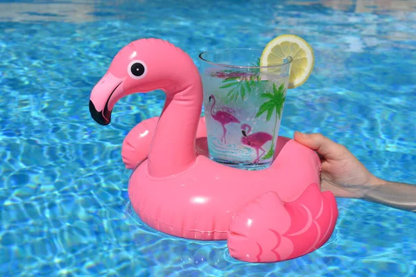 Mão Segurando Uma Bebida Suporte Bebidas Flamingo Rosa Inflável Piscina — Fotografia de Stock