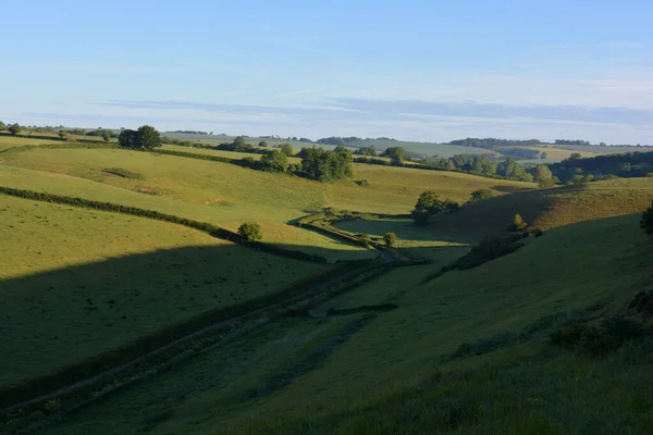 オーボンからポイントンへの車線の早朝の景色緑豊かな緑のフィールド オーボン シャーボナードーセット イングランドを通って谷に沿って行く — ストック写真