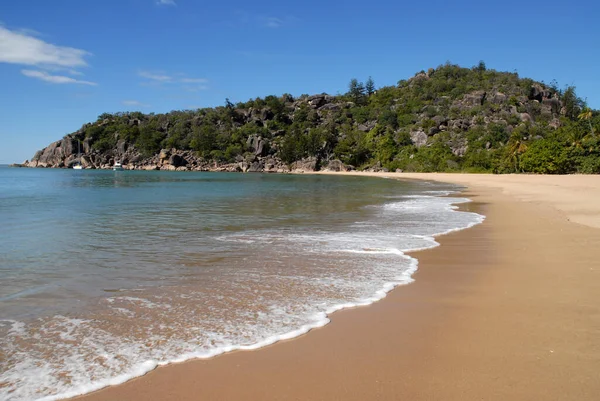 Hermosa Playa Tropical Bordeada Palmeras Radical Bay Magnetic Island Queensland — Foto de Stock