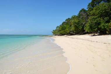 Green Island 'da Cairns, Queensland, Avustralya açıklarındaki Büyük Set Resifi' ndeki Idyllic tropikal plaj sahnesi