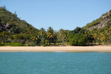 Radikal Körfez 'de Manyetik Ada, Queensland, Avustralya açıklarındaki bir tekneden deniz ve palmiye kenarlı sahil.