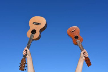Mavi gökyüzüne karşı iki el yapımı ukulele, bir tenor ve bir soprano tutan bir kadın.