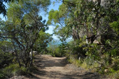 The Forts Zirvesi 'nin yakınındaki yürüyüş yolu ana karayla birlikte uzak ufukta ağaçların arasından, Magnetic Island, Queensland, Avustralya' dan görülebiliyor.