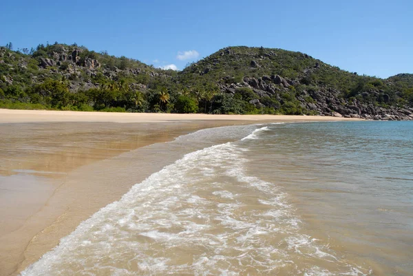 Frumoasă Vedere Plajă Tropicală Maree Joasă Golful Radical Insula Magnetică — Fotografie, imagine de stoc