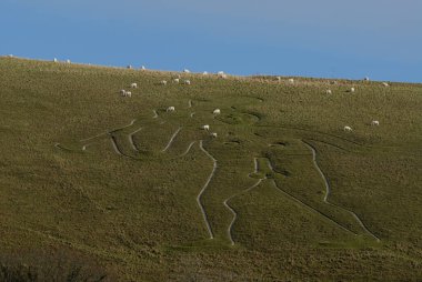 Cerne Abbas Giant 'a bakın. İngiltere' nin Dorset kentindeki Cerne Abbas köyünün üstündeki tebeşir yamacına dikilmiş eski çıplak bir figür.