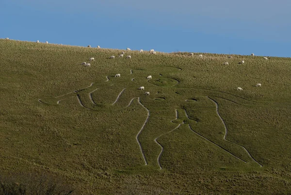 Cerne Abbas Giant 'a bakın. İngiltere' nin Dorset kentindeki Cerne Abbas köyünün üstündeki tebeşir yamacına dikilmiş eski çıplak bir figür.