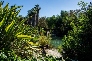 Okyanusya 'daki yağmur ormanlarının manzarası