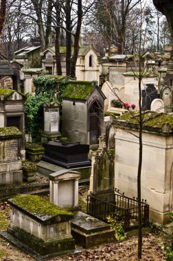 Paris 'te bir mezarlıkta bazı mezarlar