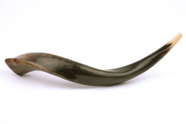 Yahudi bayramlarında kullanılan bir boynuz. Rosh Hashana ve Yom Kippur.