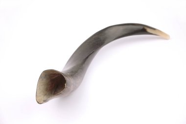 Shofar, izole edilmiş. Yahudi bayramları için bir korna..