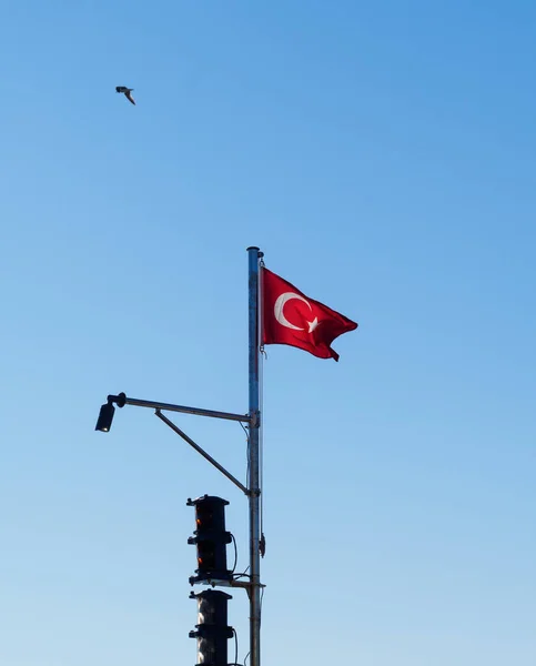 Mavi gökyüzü ve uçan bir martıya karşı trafik ışıkları olan bir direğin üzerindeki Türkiye bayrağı