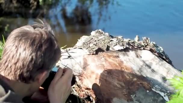 Egy Férfi Lefényképez Egy Csonkot Hangyákkal Folyónál Visszapillantás — Stock videók