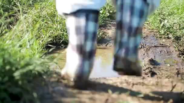 Nohy Ženy Bílých Kalhotách Gumových Botách Kleci Přejít Kaluž Bláta — Stock video