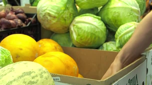 Choice of melon in store — Stock Video