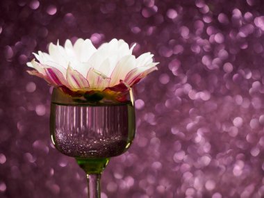 Pembe bir çiçek, ışıl ışıl pembe bir arka planda, bokeh, kopyasal alan