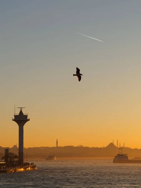 Bosphorus View Sunset Seascape Lighthouse Seagull Airplane Trail — Stock Photo, Image