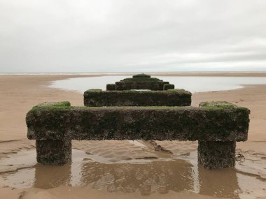 Okyanusun ortasındaki eski ahşap iskele yosunlarla kaplanmış..