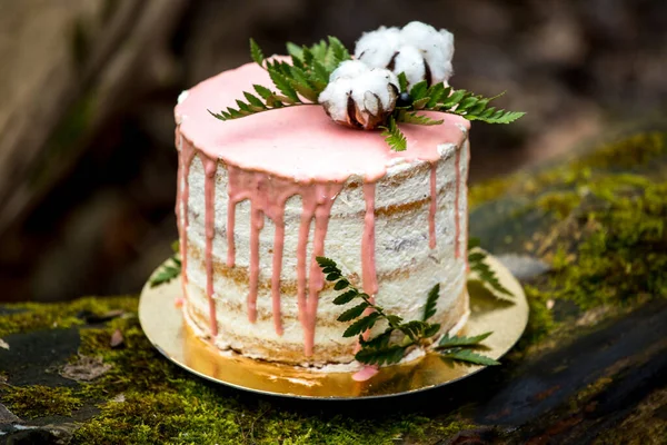 Wedding cake on two floors and light cream with fresh fruit and decorated before the ceremony laid in the middle of the forest on the trunk of a tree covered with a black moss