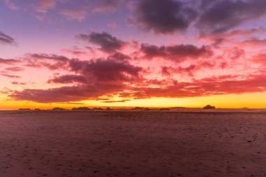 Okyanusa bakan karanlık gün batımı ve turuncu gün batımı ve güçlü rüzgarda hareket eden benekli ağaçların kum tepeleri ve yaprakları