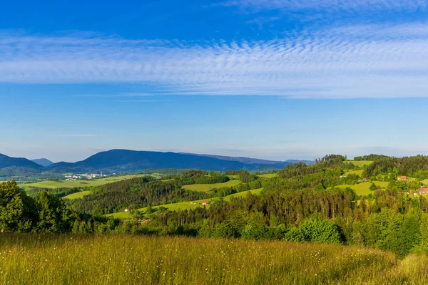 Veduta Della Natura Circondata Dalla Foresta Nel Cielo Pieno Nuvole — Foto Stock