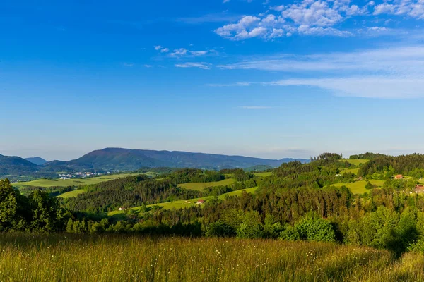 Veduta Della Natura Circondata Dalla Foresta Nel Cielo Pieno Nuvole — Foto Stock